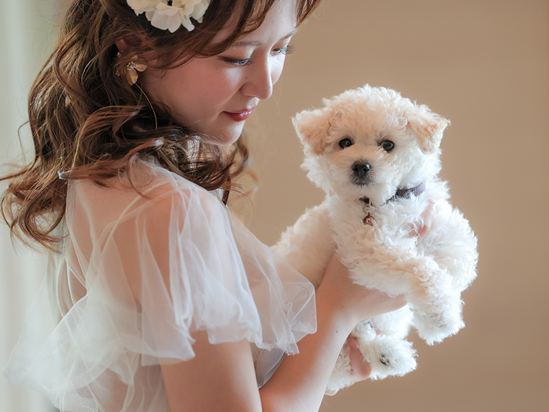 DESTINA photo wedding_ペットと一緒に撮影できる