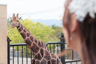 DESTINA_【旭川・美瑛・富良野】ロケーションフォト