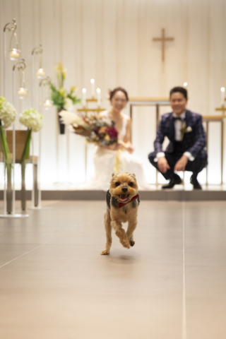 DESTINA　photo wedding_洋装