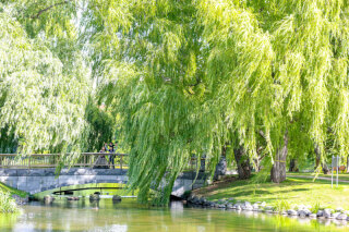 DESTINA_【札幌市】ロケーションフォト