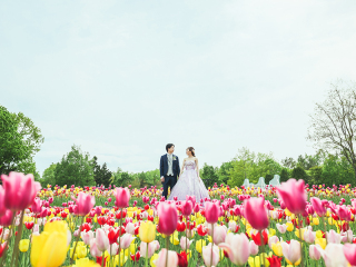 DESTINA　photo wedding_【一生に一度は撮りたい景色】ロケーションフォト