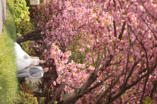 DESTINA　photo wedding_ロケーションフォト