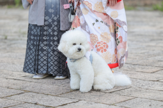 DESTINA photo wedding_和装