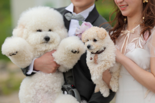 DESTINA　photo wedding_【＊Pick up photo＊】