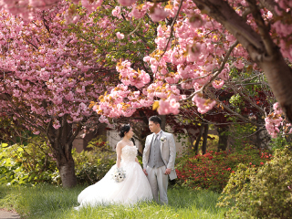 【動画撮影込みフォトプラン】桜シーズン受付中◆データ+アルバム付＆ペット撮影可能プラン