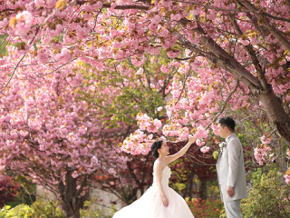 【1日1組限定】季節の絶景ロケフォトプラン《ロケ撮影付き★》