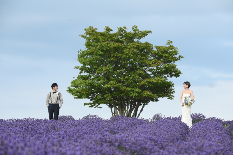 【6～8月撮影限定】早割22,000円OFF！北海道らしい夏景色でロケ　100カットデータ付　