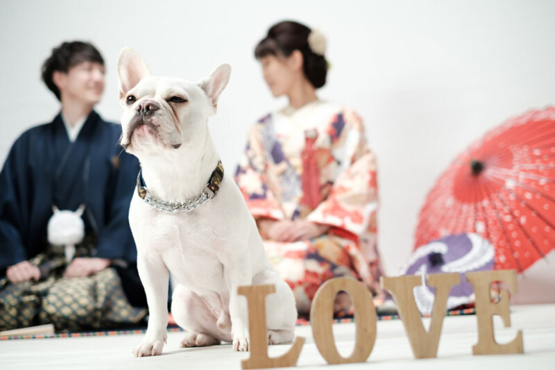 平日　挙式＆前撮りプラン【和装】