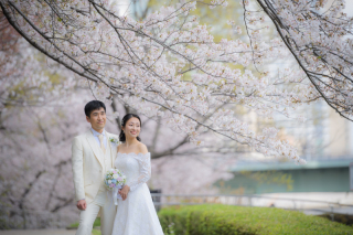 洋装×チャペル・桜ロケーション