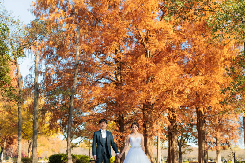 紅葉が祝福する秋の前撮り