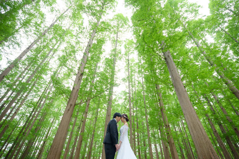 美しい背景との調和