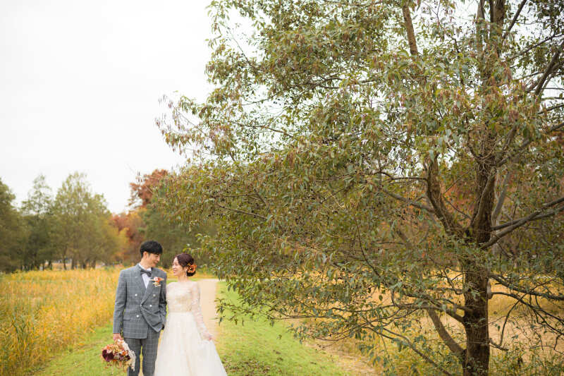 並木道を歩く後ろ姿