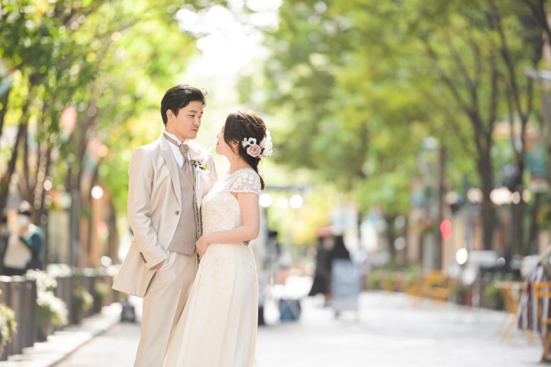 緑・光・並木道Shot