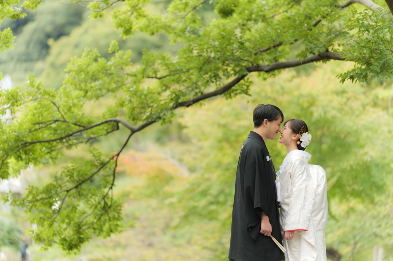 緑が色付く季節