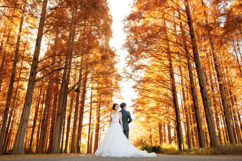 紅葉と白ドレスの美しいコントラスト