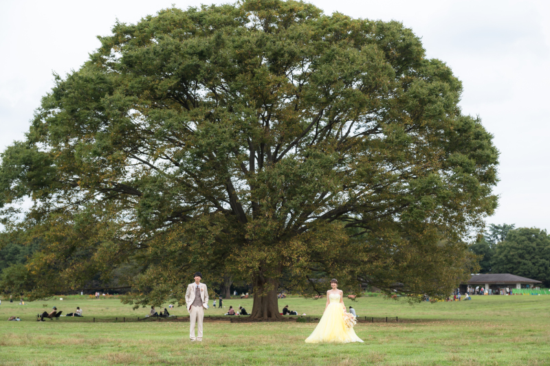 大きな木の下で