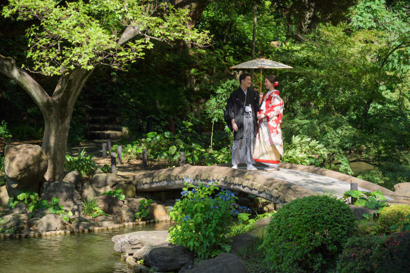 木漏れ日に包まれる穏やかな時間