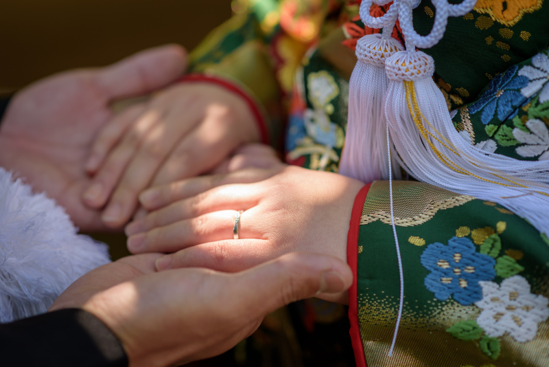 木漏れ日の陰影