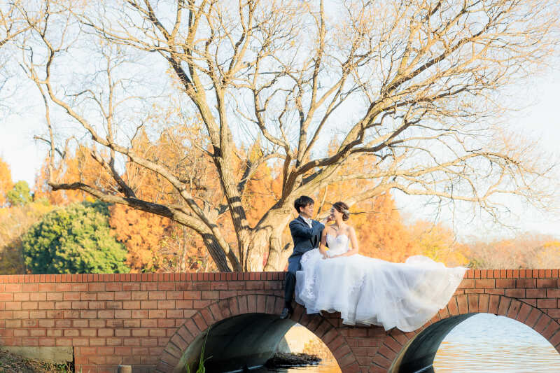 木漏れ日の中で交わす視線