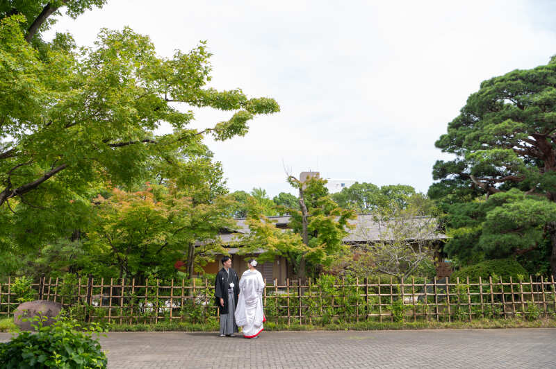 和の美と自然が調和する瞬間