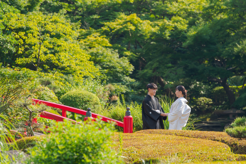 夏らしい綺麗な緑