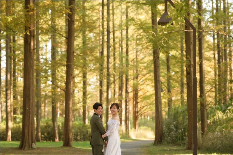 木漏れ日の中で