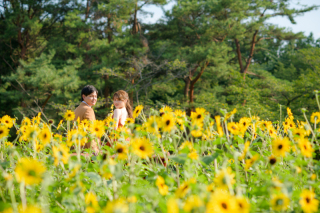 和装・洋装×３ロケーション