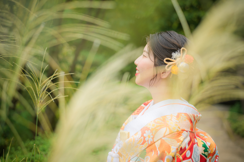 黄金のすすきが祝福する季節