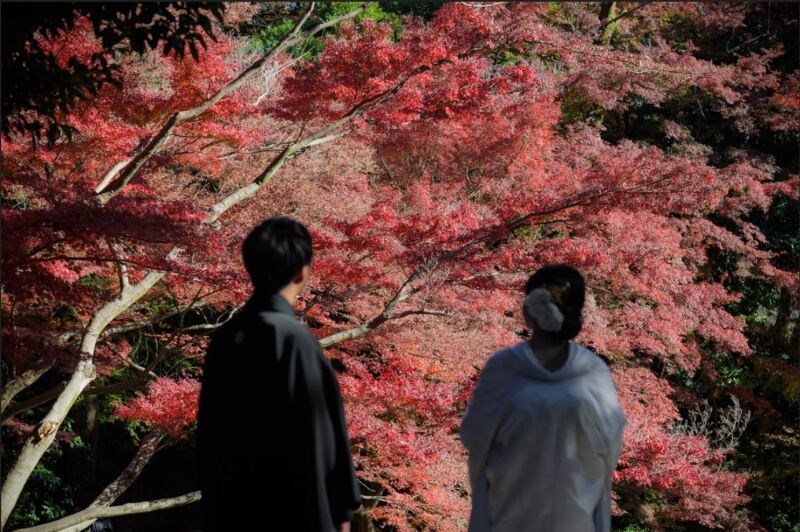 紅色のスクリーン