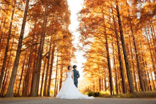 STYLE＋東京_紅葉ロケーション