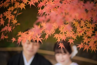 STYLE＋東京_紅葉ロケーション