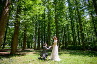 木漏れ日の中、ロマンチックなプロポーズをもう一度。