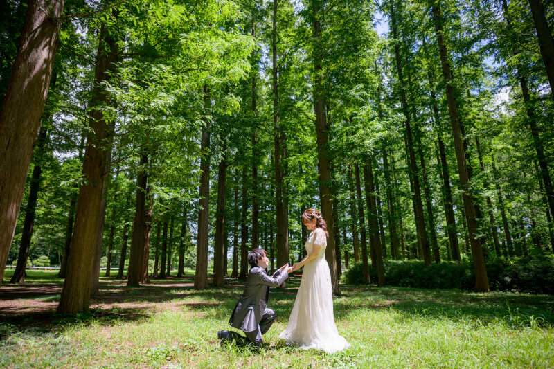 木漏れ日の中、ロマンチックなプロポーズをもう一度。