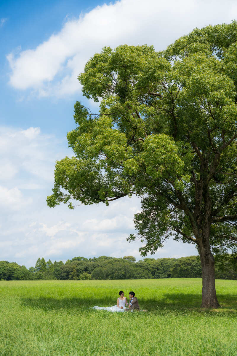 ピクニック気分で撮影を楽しみましょう♪