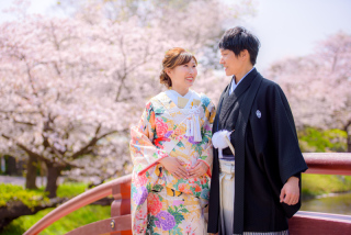 ※期間限定【桜フォトプラン】和装（白無垢または色打掛）・紋服、100カット、着付・ヘアメイク込