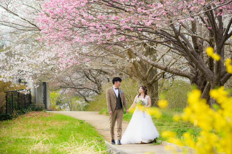 ※期間限定【桜フォトプラン】洋装(ウェディングドレスまたはカラードレス)・タキシード、100カット、着付・ヘアメイク込