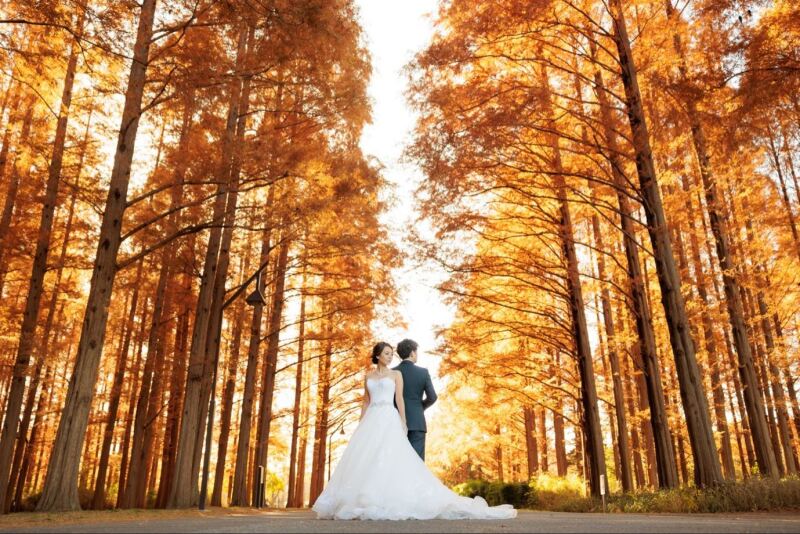 【洋装*紅葉ロケーションフォト】新郎新婦洋装1着ずつ,ヘアメイク,データ100カット,全データレタッチ付き,移動費,撮影申請費込