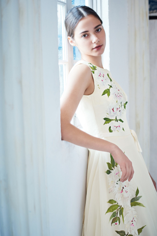 アランピオニー