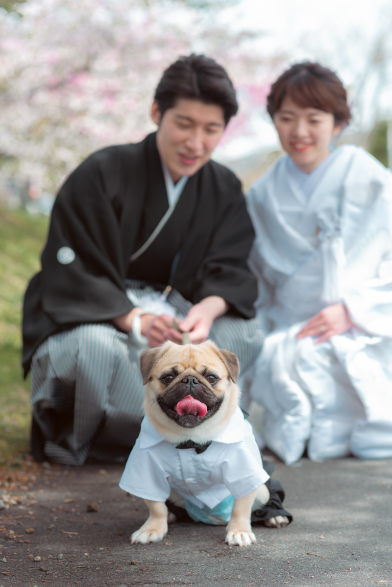 ばっちりカメラ目線