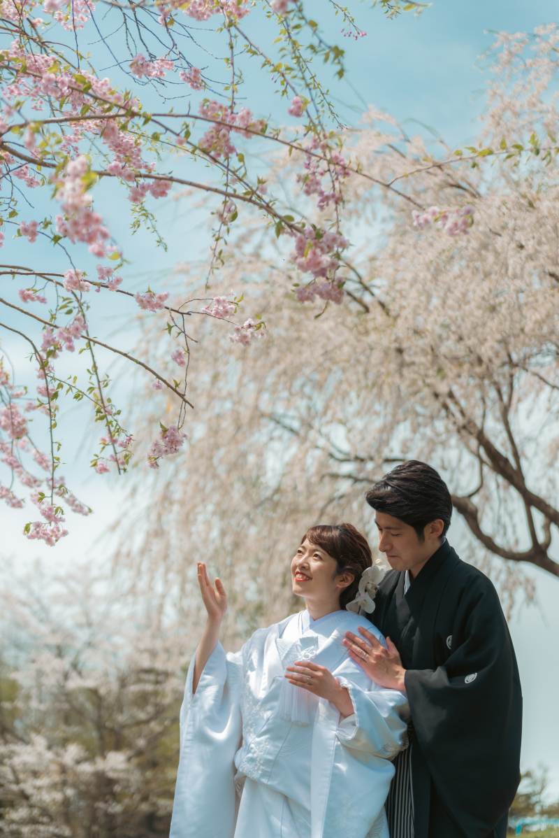 春を感じる一枚