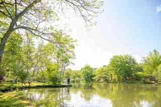 新緑のタリアセン