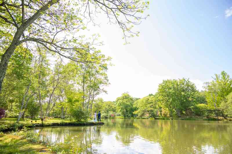 新緑のタリアセン