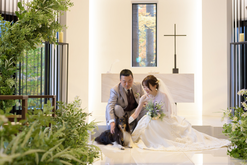 おふたりのわんちゃんと