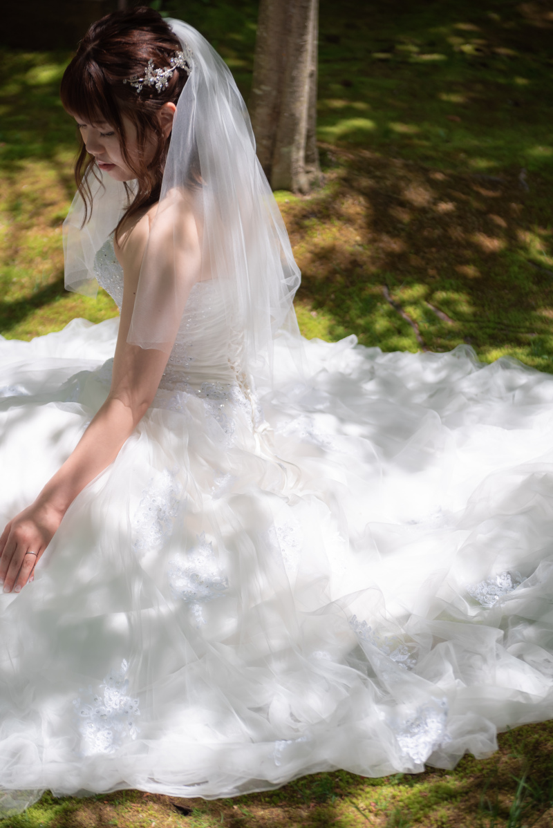 ドレスを写して