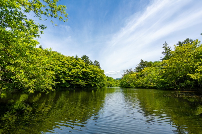 新緑のシーズン到来