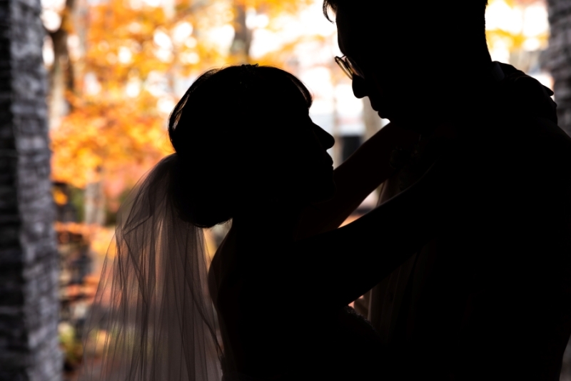 幻想的なシルエット写真も