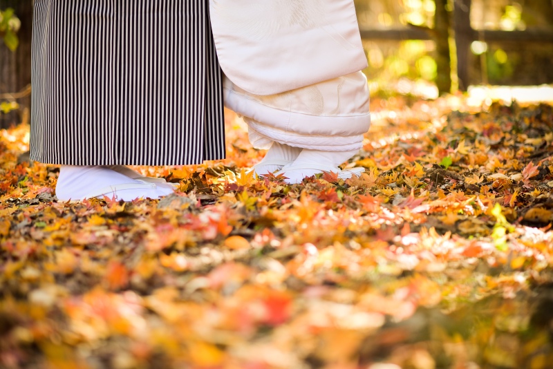 紅葉を足元に広げ