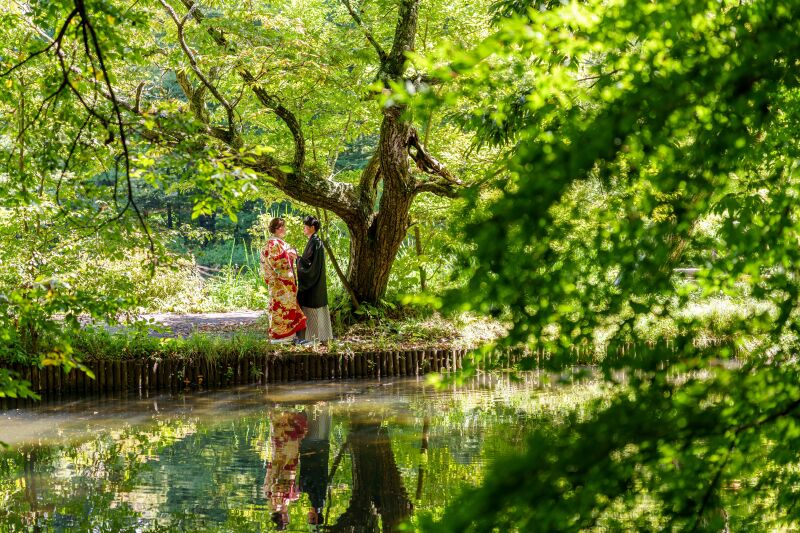 水面に映るお姿も