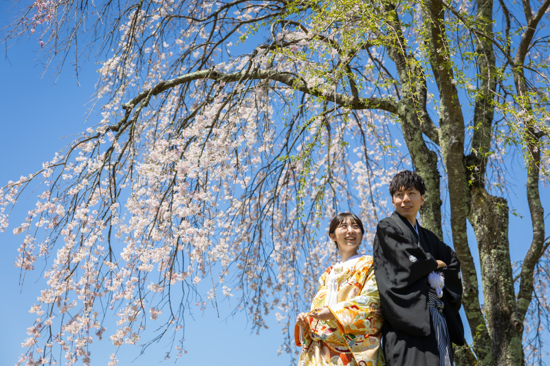 しだれ桜と一緒に