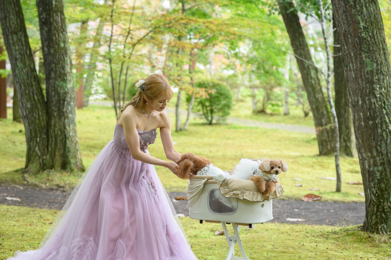 ワンちゃんにもおすすめ!